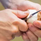 和食